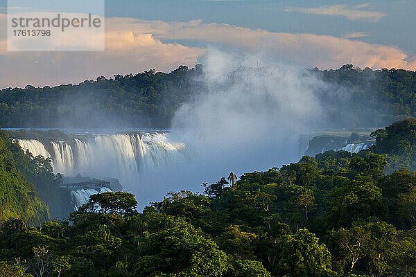 Nebel steigt über dem Wald auf  der die Iguazu-Fälle umgibt.