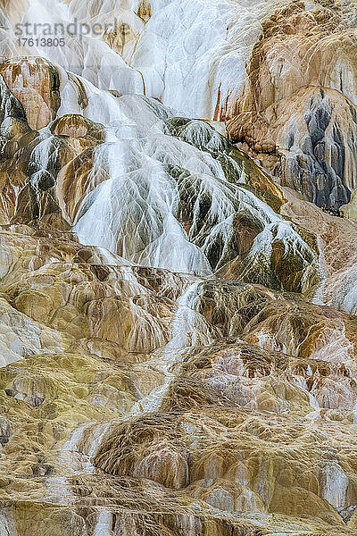 Thermische Abflusskanäle bilden Travertinmineralablagerungen an der Canary Spring der Mammoth Hot Springs im Yellowstone Natural Park; Wyoming  Vereinigte Staaten von Amerika