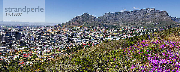 Überblick über die Skyline von Kapstadt und den Tafelberg vom Signal Hill aus; Kapstadt  Westkap-Provinz  Südafrika