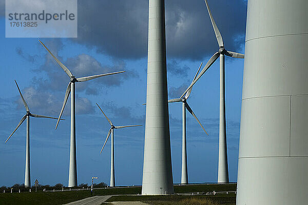 Cluster großer Windturbinen am Krammer See  Philipsdam  in der Nähe von Bruinisse; Zeeland  Niederlande