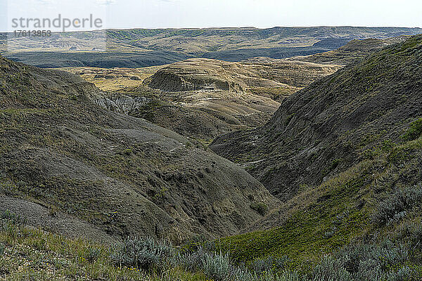 Tal der 1000 Teufel im East Block des Grasslands National Park  der erstaunliche Erosions- und geologische Phänomene aufweist; Saskatchewan  Kanada