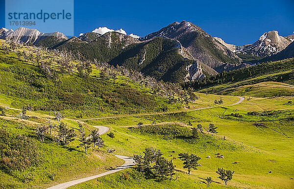 Landschaftliche Darstellung einer Straße durch die Absaroka Mountain Range.