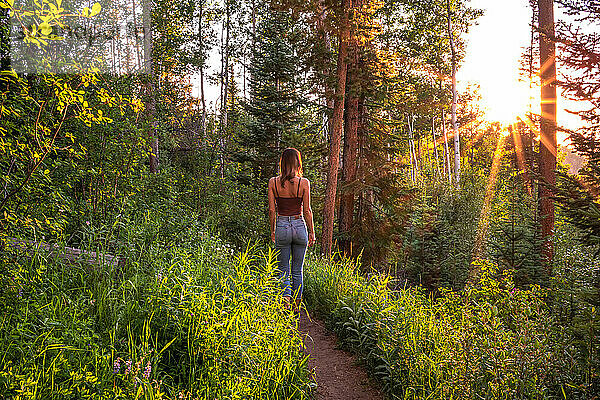 Eine Frau wandert bei Sonnenuntergang durch einen Wald in Colorado.