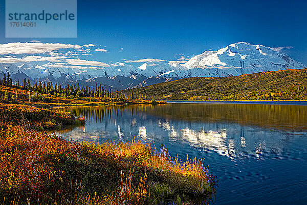 Mount Denali (McKinley) spiegelt sich im Wonder Lake unter blauem Himmel im Herbst; Denali National Park and Preserve  Interior Alaska  Alaska  Vereinigte Staaten von Amerika