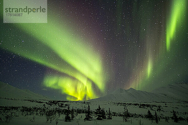 Aurora borealis (oder Nordlicht) am Sternenhimmel über den schneebedeckten Bergen entlang des Dempster Highway im Winter; Yukon  Kanada