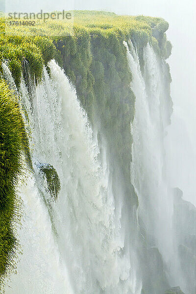 Am Aussichtspunkt Devil's Throat stürzen Wasserfälle aus einer üppigen Landschaft.