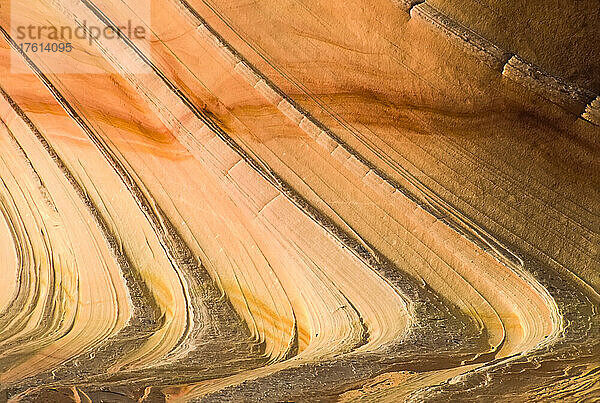 Abstrakte Schönheit der terrassenförmigen Felsmuster der Sandsteinformationen bei Coyote Buttes in der Paria Canyon-Vermilion Cliffs Wilderness; Arizona  Vereinigte Staaten von Amerika