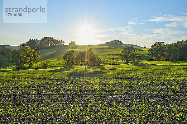 Sonne strahlt bei Sonnenuntergang über die Hügel und Felder im Herbst; Winterkasten  Odenwald  Hessen  Deutschland