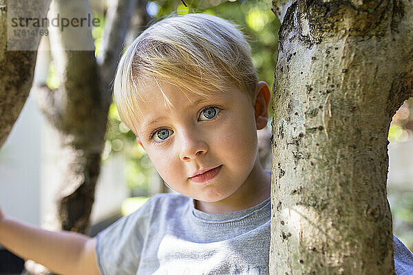 Nahaufnahme eines kleinen Jungen mit blauen Augen  der in einem Baum sitzt und in die Kamera schaut; Vientiane  Präfektur Vientiane  Laos