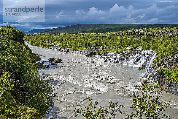 Hraunfossar-Wasserfall mit Hvita-Fluss im Sommer; Borgarnes  Vesturland  Island