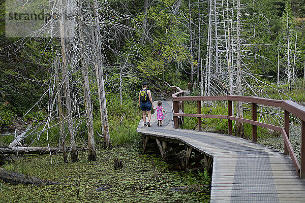 Vater beim Spaziergang mit seiner kleinen Tochter im Smuggler Cove Marine Provincial Park  Sunshine Coast  BC  Kanada; British Columbia  Kanada