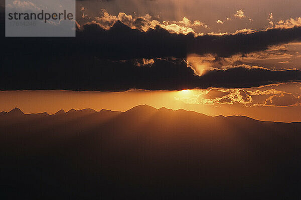 Bristlecone-Kiefern bei Sonnenuntergang Kalifornien  USA