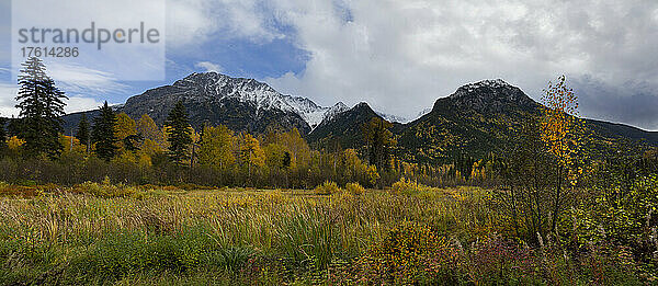 Herbstlaub und zerklüftete Berge entlang des Highway 16  östlich von Terrace  BC; British Columbia  Kanada