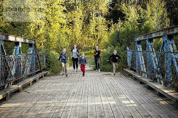 Fünf Geschwister  zwei Mädchen und drei Jungen  laufen im Herbst über eine Brücke in einem Park; Edmonton  Alberta  Kanada