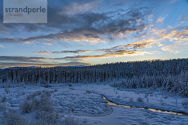 Atemberaubende  verschneite Landschaft mit Sonnenuntergang über dem Wald und dem McIntyre Creek; White Horse  Yukon  Kanada