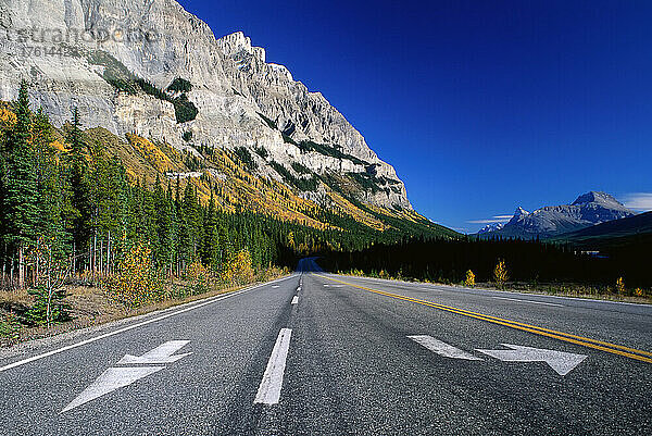 Icefields Parkway und Mt. Wilson  Banff National Park  Alberta  Kanada