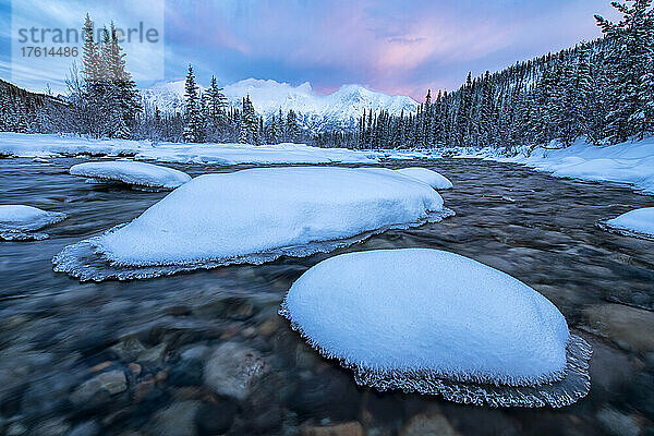 Schneebedeckte  eisumrandete Felsen in der Strömung des Wheaton River im Winter mit rosa Wolken über den Bergen in der Ferne bei Sonnenaufgang; Whitehorse  Yukon  Kanada