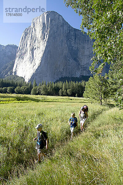 Jungen auf einer Familienwanderung mit ihrer Mutter und ihrer einjährigen Schwester; El Capitan im Yosemite National Park  Kalifornien.