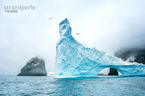 Ein geformter Eisberg in der Nähe von Elephant Island  Antarktis.