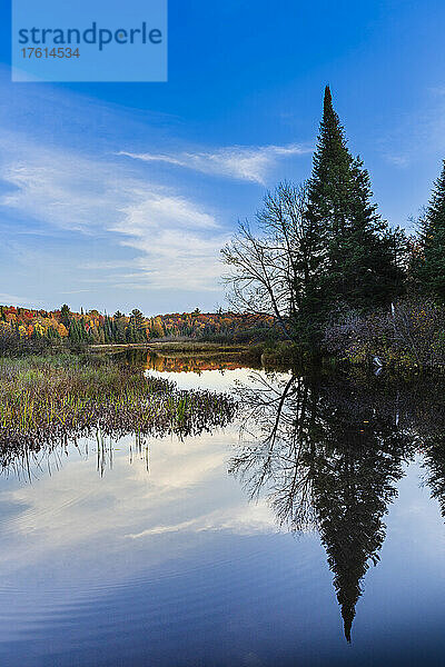 Spiegelbild von Bäumen in Herbstfarben um einen See in den Laurentides von Quebec  Kanada; Quebec  Kanada