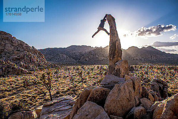 Die Aguille de Joshua Tree erhebt sich bei Sonnenuntergang über der Wüste  während ein Mann mit einem Felsblock nach oben klettert.