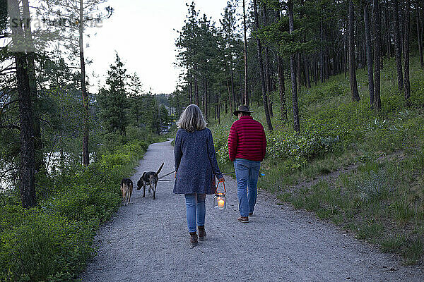 Ein Ehepaar geht in der Dämmerung mit seinen beiden Hunden auf einem Pfad um einen Teich spazieren; Kelowna  British Columbia  Kanada