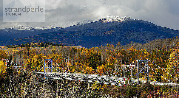 Erhöhte Fahrbahn  die ein Tal in einem herbstlich gefärbten Wald in den Hazelton Mountains von BC  Kanada  durchquert; British Columbia  Kanada