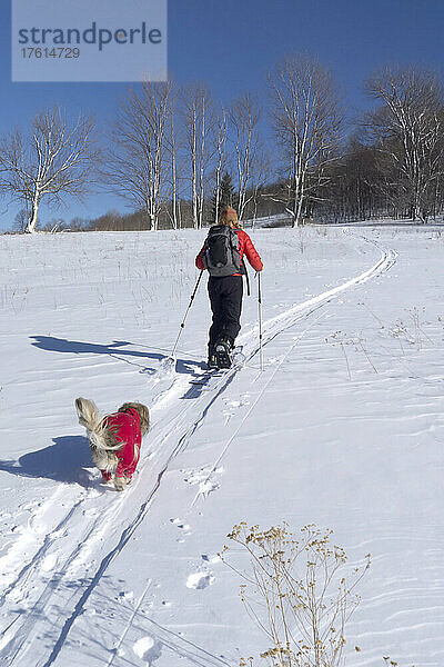Eine Frau und ihr Hund in roten Flanellunterhosen machen sich auf den Weg zum Skifahren im Hinterland; Canaan Valley  West Virginia.