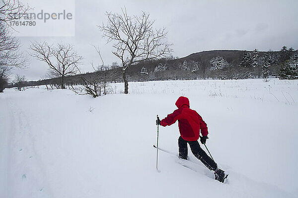 Ein neunjähriger Junge fährt nach einem Sturm auf Langlaufskiern durch tiefen Schnee; Canaan Valley  West Virginia.