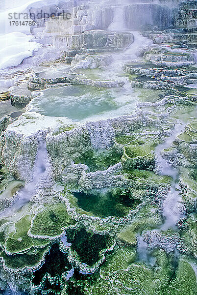 Terrassenförmige Mineralablagerungen und Dampfschwaden der Minerva-Terrasse bei den Mammoth Hot Springs im Yellowstone Natural Park; Wyoming  Vereinigte Staaten von Amerika