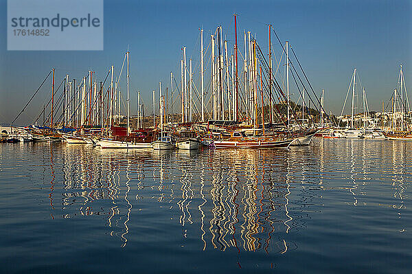 Frühmorgendlicher Blick auf die Boote im Hafen von Bodrum  Türkei; Der Hafen von Bodrum  an der Küste der Ägäis  Westanatolien  Türkei.