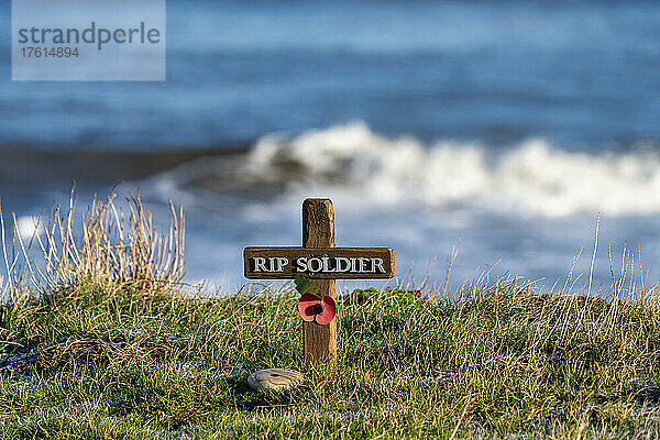 Ein kleines Holzkreuz mit einer roten Mohnblume als Soldatendenkmal am Meer; Whitburn  Tyne and Wear  England