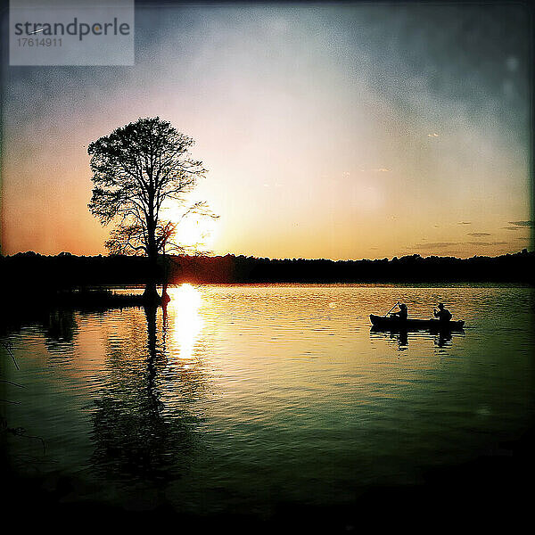 Ein Paar paddelt bei Sonnenuntergang in einem Kanu an Zypressen vorbei; Chickahominy River  Williamsburg  Virginia.