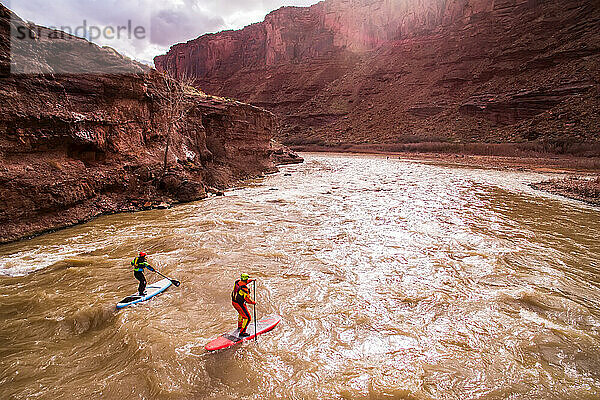 Zwei Paddelboarder auf dem Colorado River.