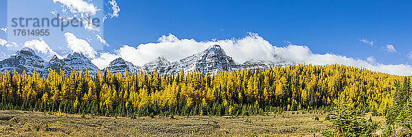 Panoramablick auf goldene Lärchen und die zerklüfteten kanadischen Rockies im Larch Valley im Banff National Park; Alberta  Kanada