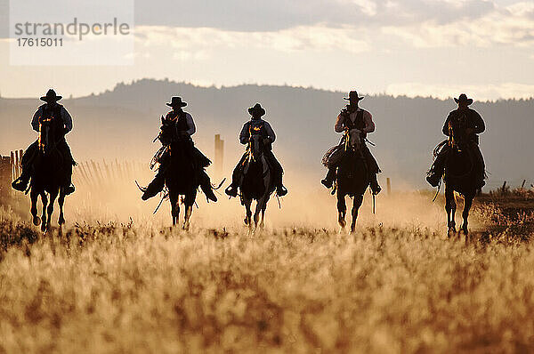 Fünf Cowboys auf Pferden in einer Reihe; Seneca  Oregon  Vereinigte Staaten von Amerika