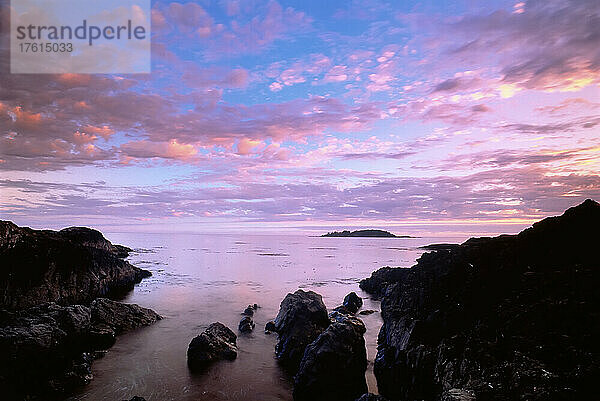 In der Nähe von Chesterman Beach Vancouver Island British Columbia  Kanada