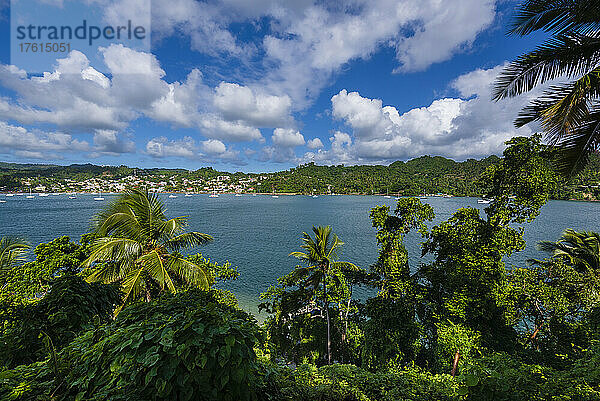 Blick durch die Baumkronen der Stadt Samana auf die Bucht von Samana mit den im Hafen vertäuten Booten an einem sonnigen Tag; Halbinsel Samana  Dominikanische Republik  Karibik