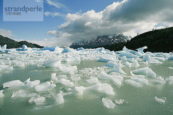 Eisberge und Eisstücke treiben im Torres del Paine National Park; Torres del Paine  Chile.