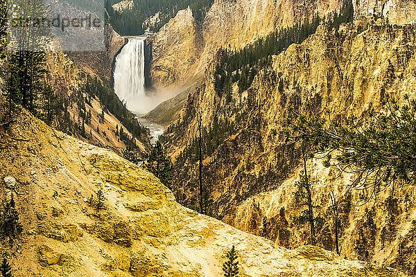 Lower Falls des Yellowstone River und das gelbe schwefelhaltige Gestein  das den Wasserfall umgibt  im Grand Canyon of the Yellowstone  Yellowstone National Park; Wyoming  Vereinigte Staaten von Amerika