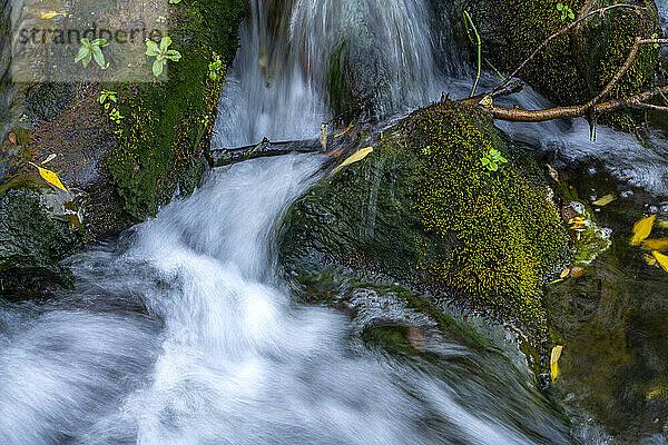 Langsame Verschlusszeit Bild eines kleinen Baches und Wasser Kaskaden über moosbewachsenen Felsen und gefallenen Ästen; Richfield  Utah  Vereinigte Staaten von Amerika