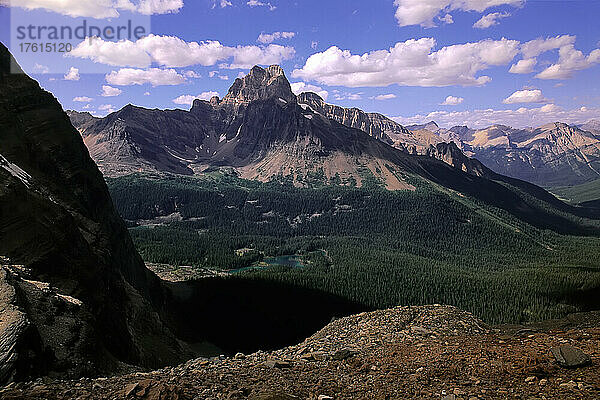 Cathedral Mountain von Odaray Grandview  Yoho National Park  British Columbia  Kanada