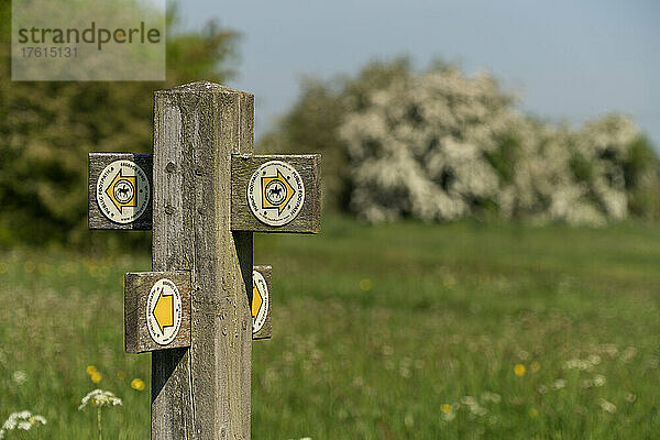 Wegweiser für einen öffentlichen Fußweg mit einem Piktogramm eines Reiters auf einem Pfeil; Ravensworth  Richmondshire  England