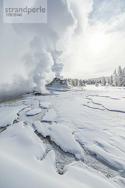 Grand Geyser  der aus der Erdkruste ausbricht und thermischen Dampf in die Luft über der Winterlandschaft im Yellowstone-Nationalpark freisetzt; Wyoming  Vereinigte Staaten von Amerika