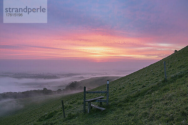Morgennebel schlängelt sich durch die Bäume und über die Felder der South Downs  während die Sonne aufgeht; Lewes  East Sussex  England