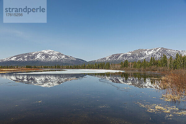 Die Kobuk-Berge spiegeln sich in einem Teich hinter dem Dorf Kobuk im späten Frühling; Nordwest-Alaska  Alaska  Vereinigte Staaten von Amerika