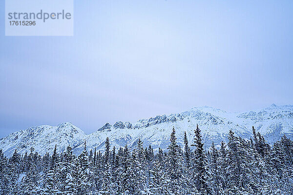 Winterlandschaft um Whitehorse  Yukon  mit schneebedecktem Wald und Bergkette; Whitehorse  Yukon  Kanada