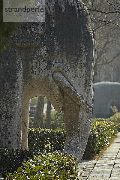 Eine Elefantenskulptur in einer Allee von Tierskulpturen in Mingxiaoling  dem Grabmal von Hongwu  dem ersten Kaiser der Ming-Dynastie  Nanjing  Provinz Jiangsu  China; Mingxiaoling  Purpurberg  Zijin Shan  Nanjing  Provinz Jiangsu  China.