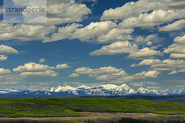 Schneebedeckte Bergkette mit grünen Hügeln im Vordergrund und Wolken am blauen Himmel; Calgary  Alberta  Kanada