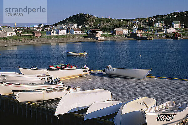 Boote im Durrell-Hafen  Twillingate Island  Neufundland  Kanada